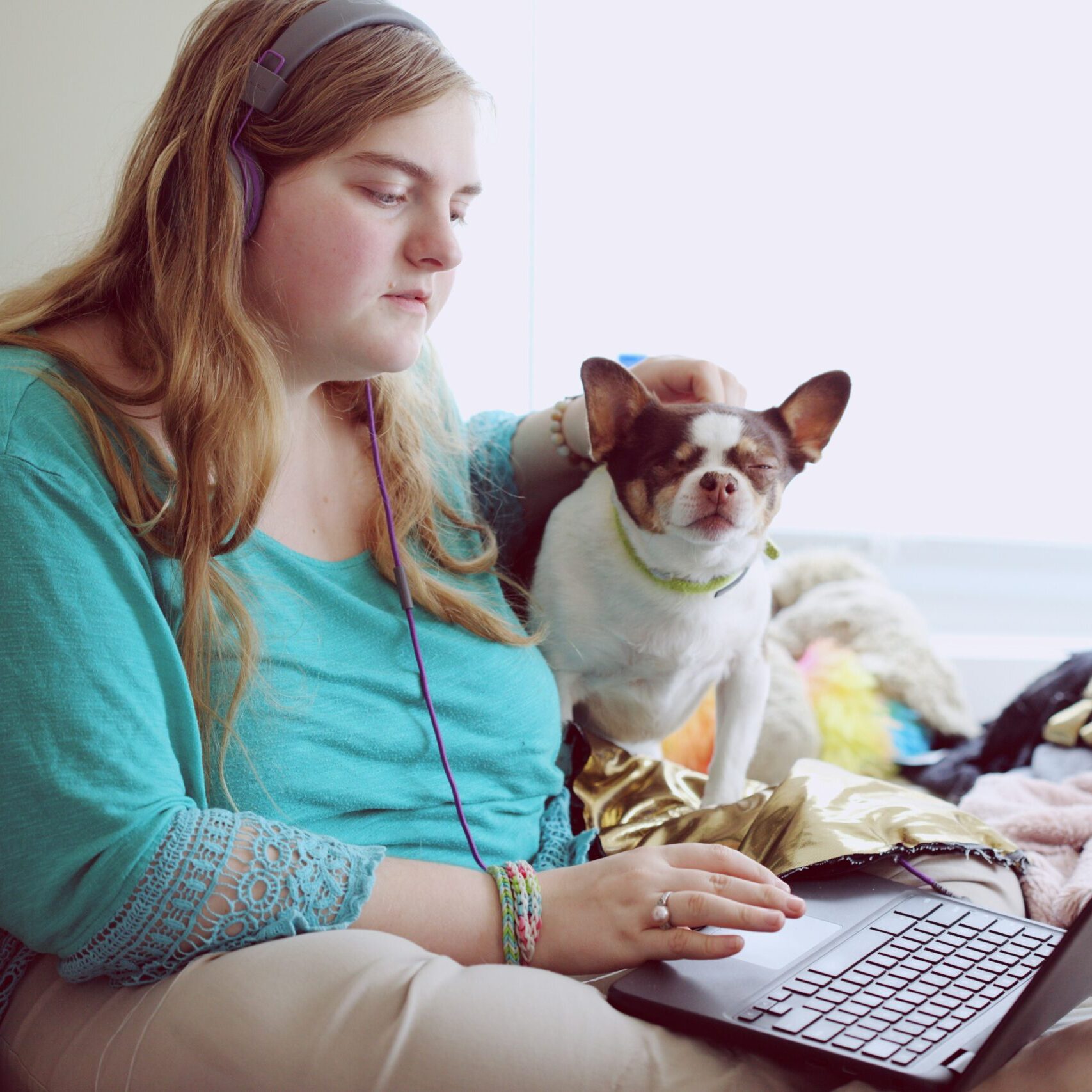 a person using a laptop while petting a dog